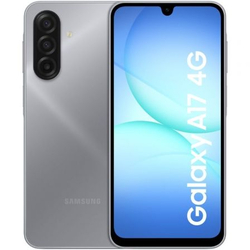 Samsung Galaxy A17 6.7 256Gb 8Gb Gray