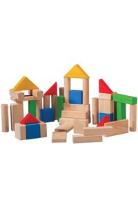 50 BLOQUES PLANTOYS