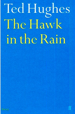 The Hawk in the Rain
