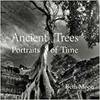 ANCIENT TREES: PORTRAITS OF TIME