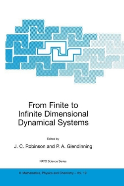 FROM FINITE TO INFINITE DIMENSIONAL DYNAMICAL SYSTEMS