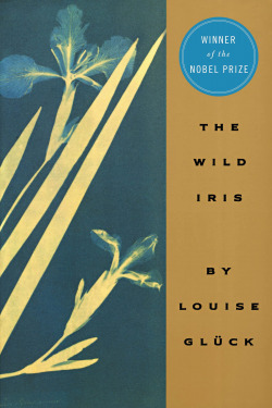 WILD IRIS