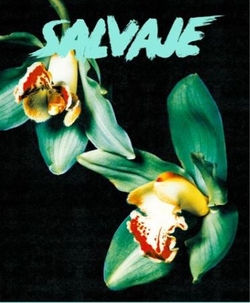 Revista salvaje 28