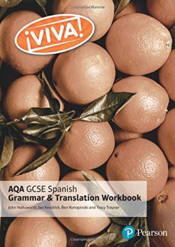 VIVA! AQA GCSE SPANISH GRAMMAR AND TRANSLATION WORKBOOK