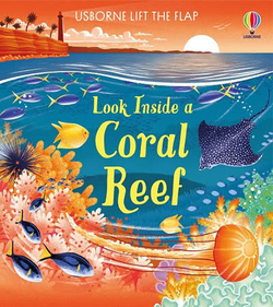 LOOK INSIDE A CORAL REEF
