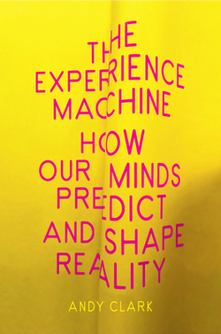 (CLARK).THE EXPERIENCE MACHINE (RANDOM HOUSE USA)