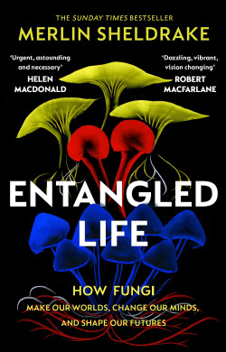 Entangled Life : How Fungi Make Our Worlds, Change Our Minds and Shape Our Futur