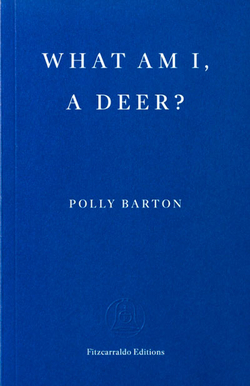WHAT AM I A DEER?