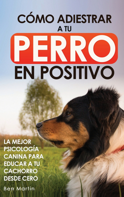 C�mo Adiestrar a tu Perro en Positivo