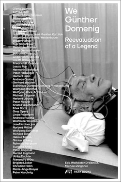 WE GUNTHER DOMENIG. REEVALUATION OF A LEGEND