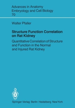 STRUCTURE FUNCTION CORRELATION ON RAT KIDNEY