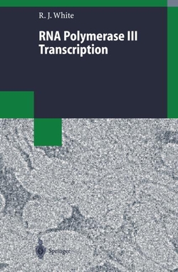 RNA Polymerase III Transcription