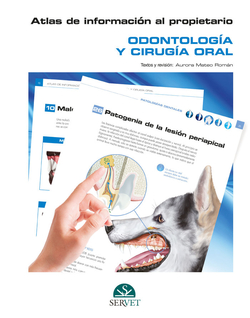 Atlas de informaci�n al propietario.
