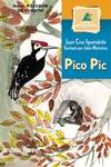 PICO PIC