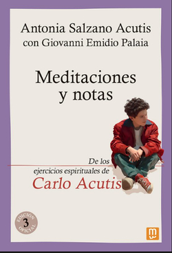Meditaciones y notas: De los ejercicios espirituales de Carlo Acu