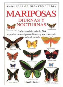 MARIPOSAS DIURNAS Y NOCTURNAS