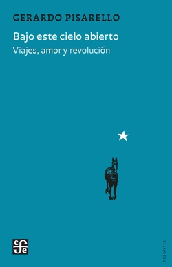 BAJO ESTE CIELO ABIERTO