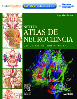 NETTER. Atlas de neurociencia + Student Consult