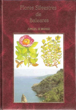 FLORES SILVESTRES DE BALEARES