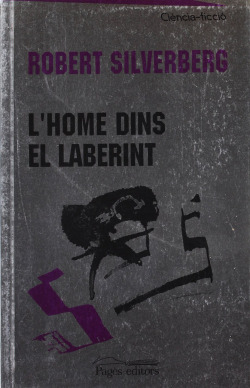 L'home dins el laberint