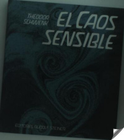 Caos sensible, el