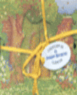 COLECCION CLASICOS: JARDIN SECRETO