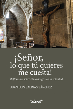 �se�or, lo que tu quieres me cuesta!:reflexiones sobre como