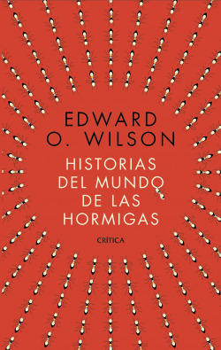 Historias del mundo de las hormigas