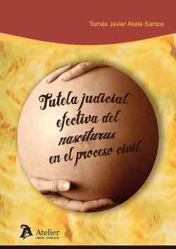 Tutela judicial efectiva del nasciturus en el proceso civil.