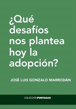 �Qu� desaf�os nos plantea hoy la adopci�n