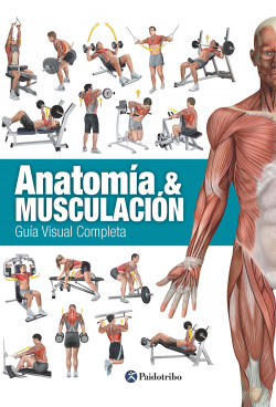 Anatoma & musculacin