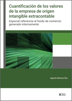 CUANTIFICACI�N DE LOS VALORES DE LA EMPRESA DE ORIGEN INTANGIBLE EXTRA