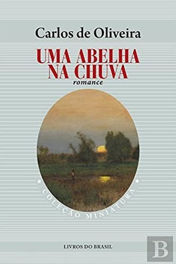 Uma abelha na chuva