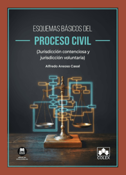 Esquemas básicos del proceso civil (jurisdicción contenciosa y jurisdicción voluntaria)