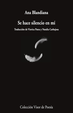 Se hace silencio en mí
