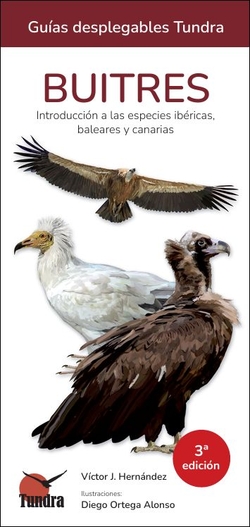 Buitres: Introducci�n a las especies ib�ricas, Baleares y Canaria