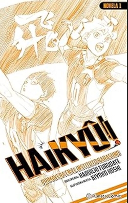 Haiky�!! (Novela) n� 01