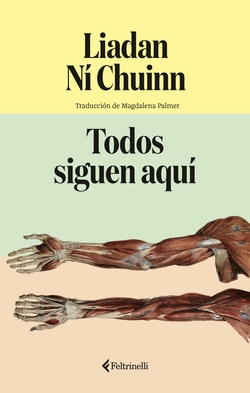 Todos siguen aqu�