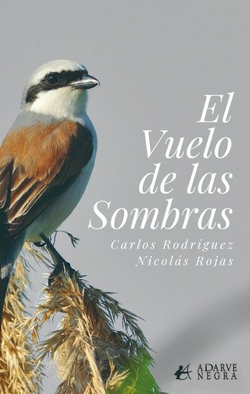 El vuelo de las sombras