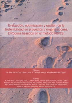 Evaluacion, optimizacion y gestion sostenibilidad proyectos